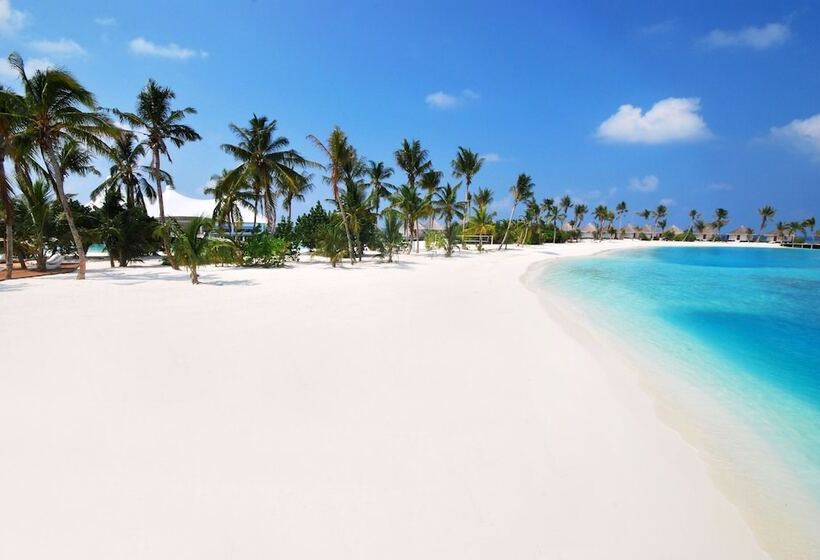 هتل Safari Island