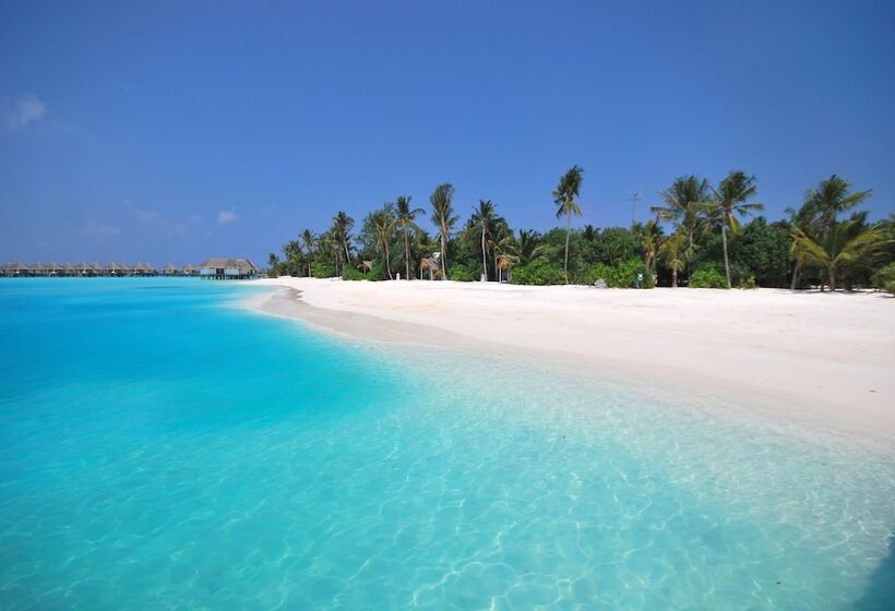 هتل Safari Island