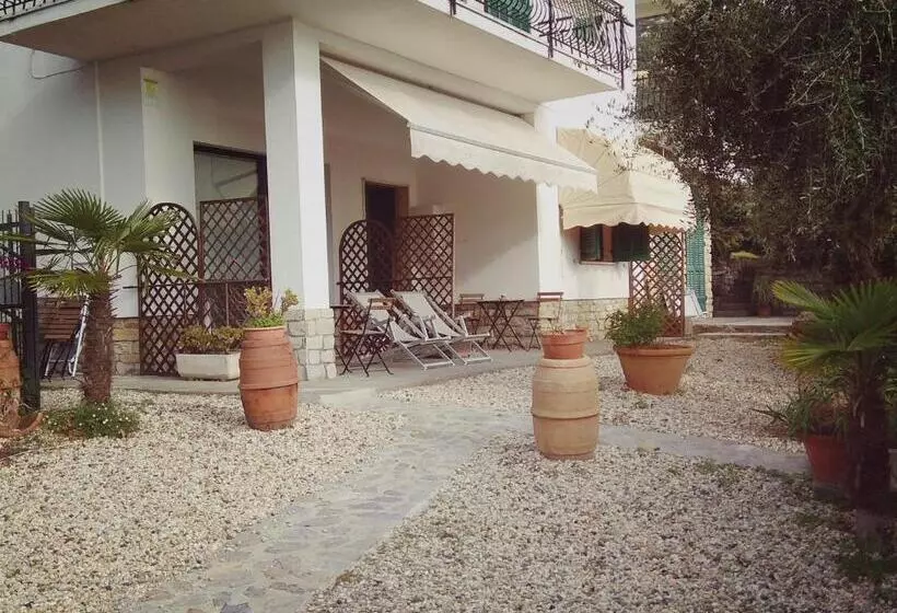 B&b The Dream