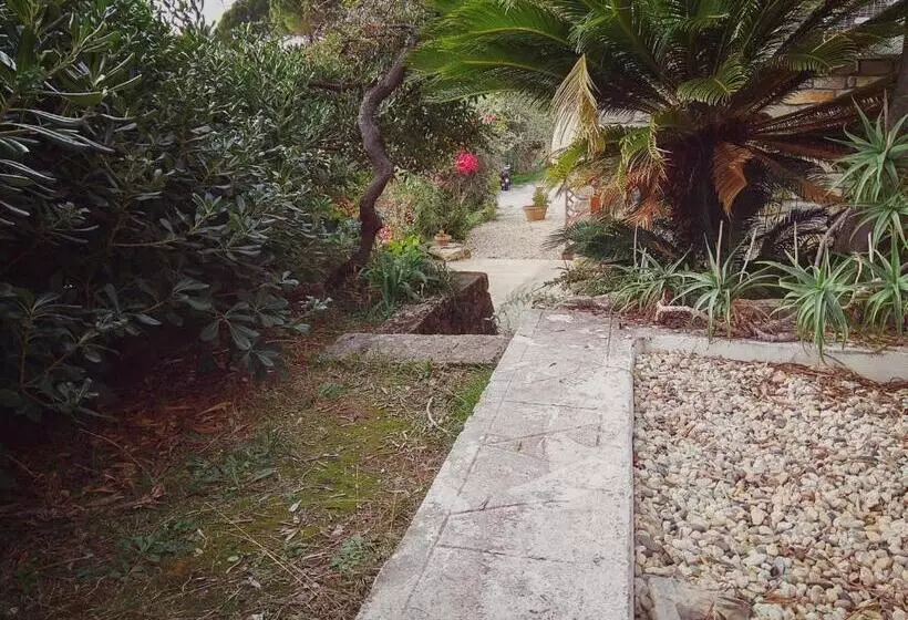 B&b The Dream