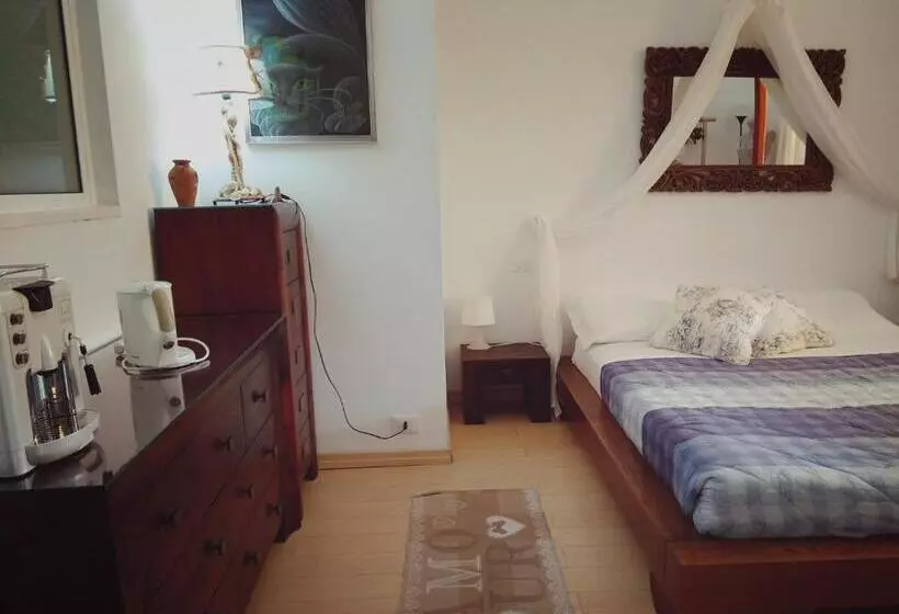 B&b The Dream