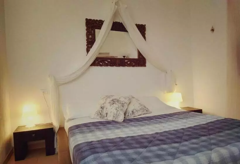B&b The Dream