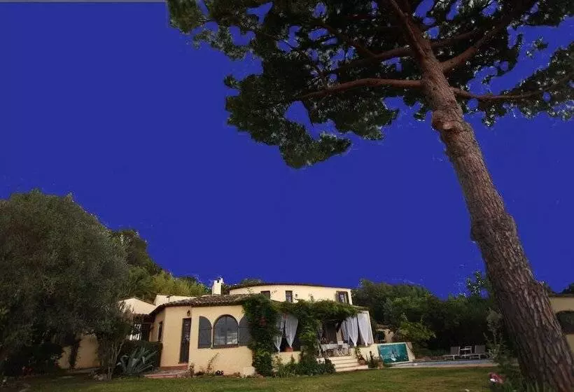 Aamiaismajoitus (B&B) La Pelicane