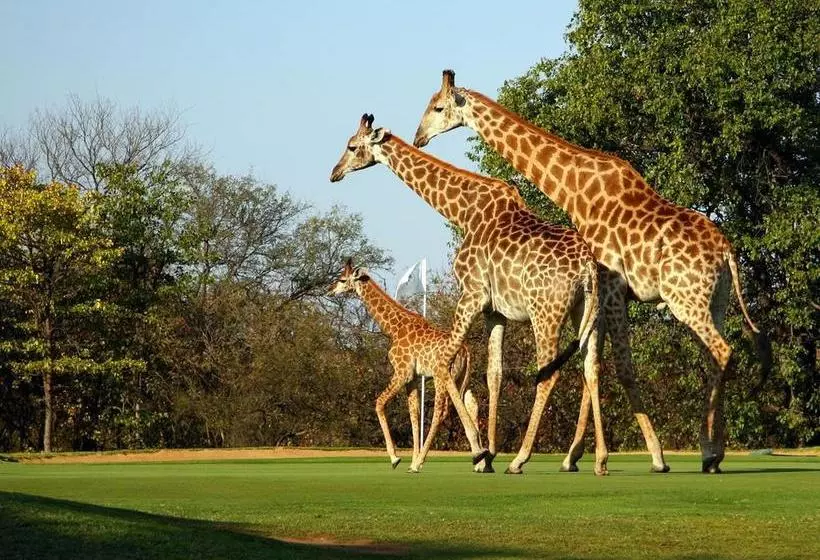 ホテル Hans Merensky  & Spa