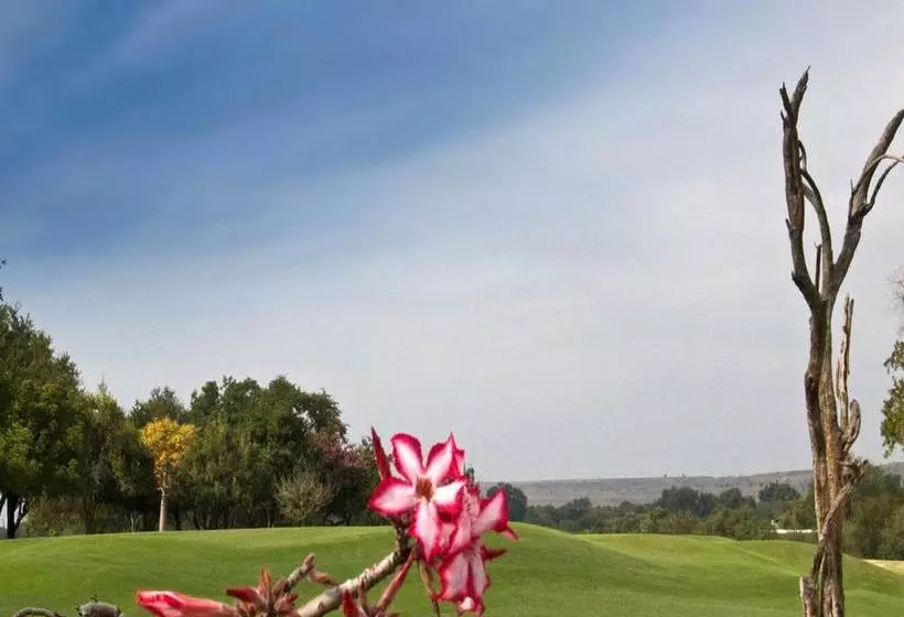 ホテル Hans Merensky  & Spa