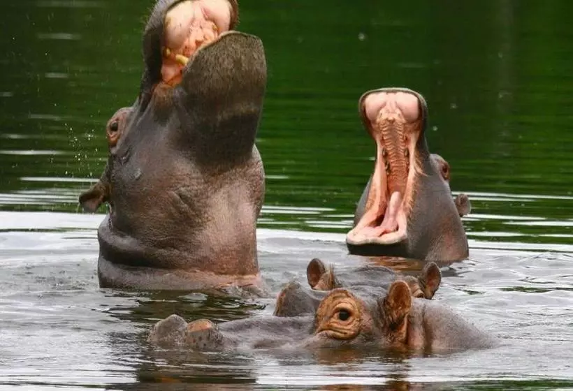 ホテル Hans Merensky  & Spa