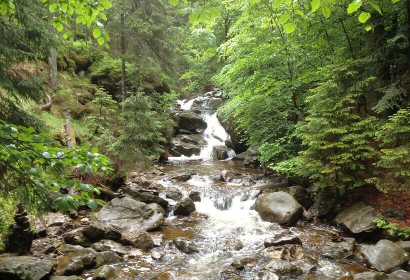 Hotel Bio Appartement Resort