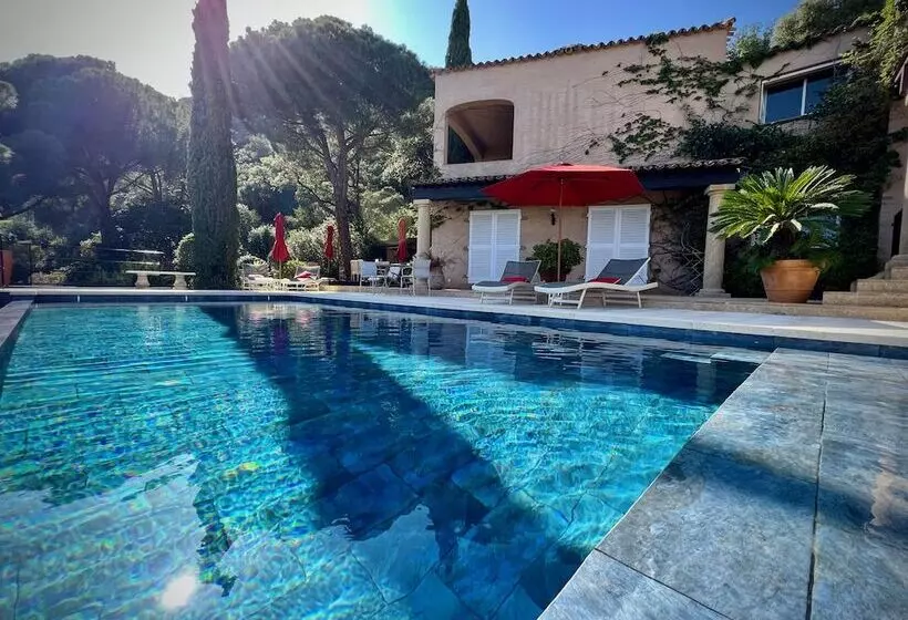 Villa Thalassa Art  B&b