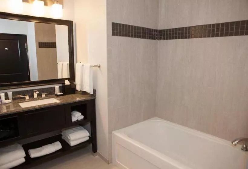 ホテル La Quinta Inn & Suites By Wyndham Lubbock Southwest