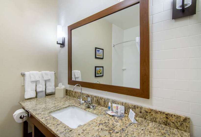 Отель Comfort Inn & Suites Shawnee  Kansas City