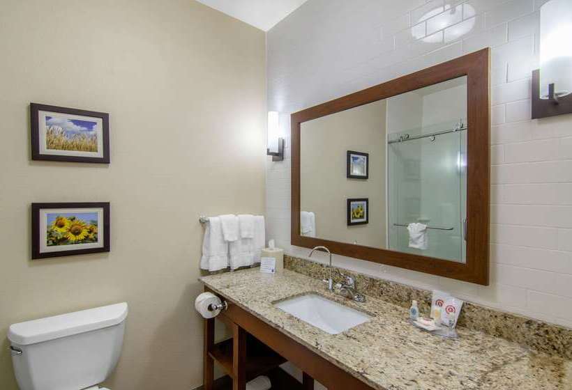 Отель Comfort Inn & Suites Shawnee  Kansas City