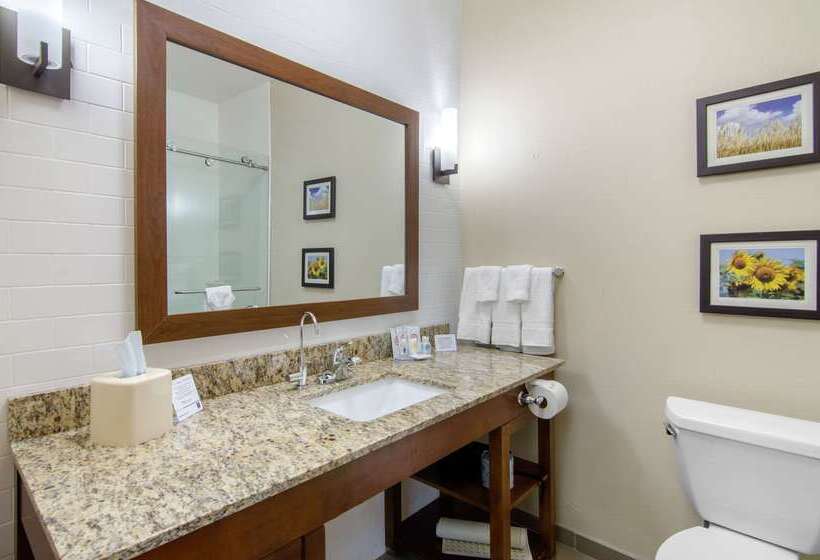 Отель Comfort Inn & Suites Shawnee  Kansas City