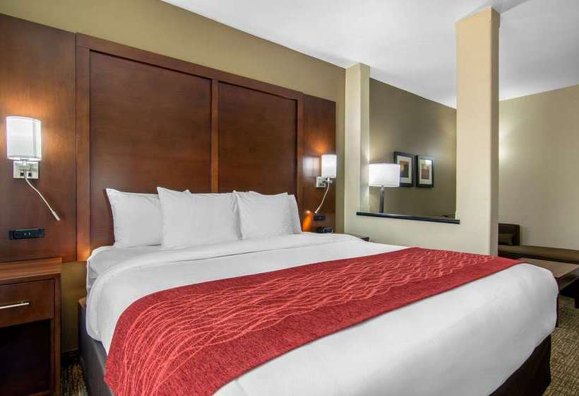 Отель Comfort Inn & Suites Shawnee  Kansas City