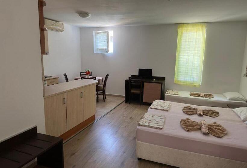 ホテル Complex Nev