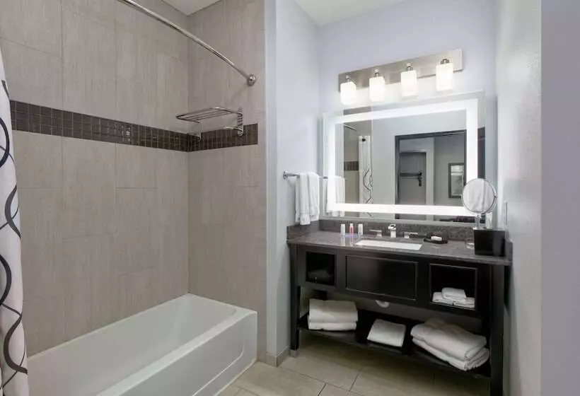 ホテル La Quinta Inn & Suites By Wyndham Lubbock Southwest