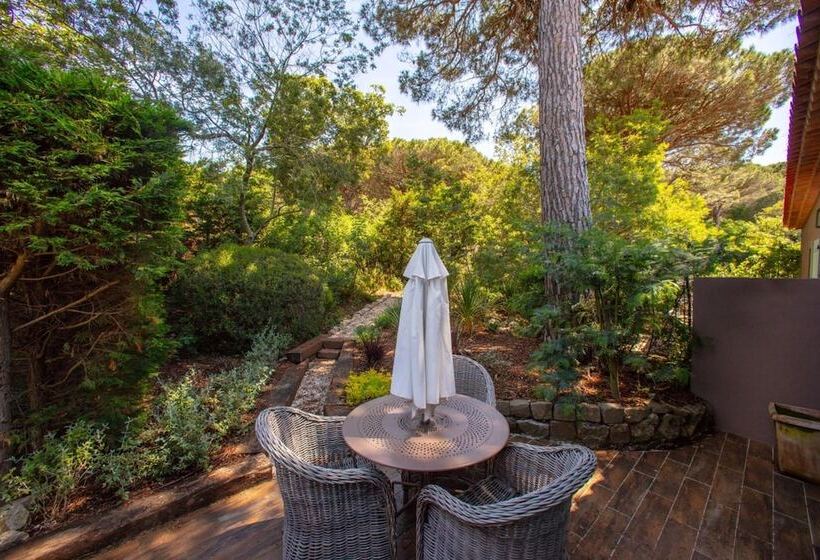 호텔 La Villa D Andrea