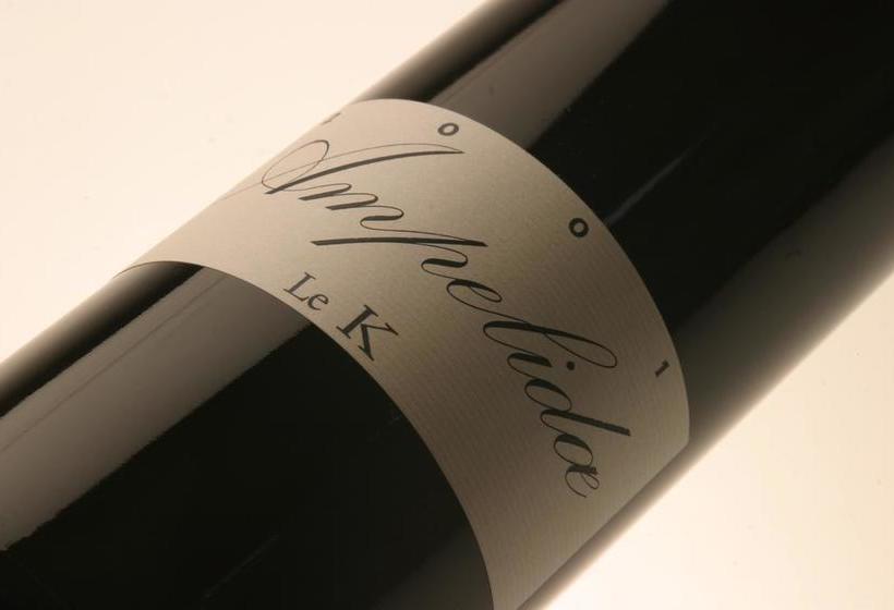 Hotel Le Relais Du Lyon D Or