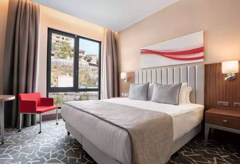 ホテル Ramada By Wyndham Istanbul Alibeykoy