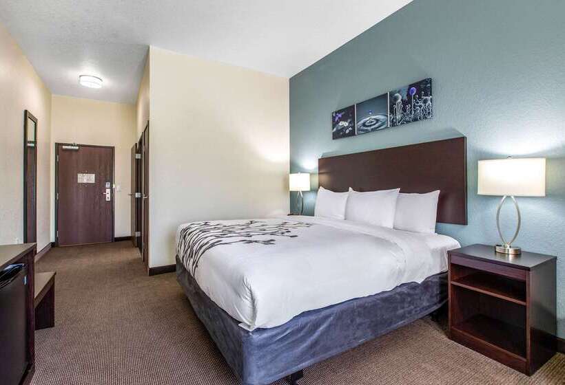 בית מלון כפרי Sleep Inn & Suites Ankeny  Des Moines