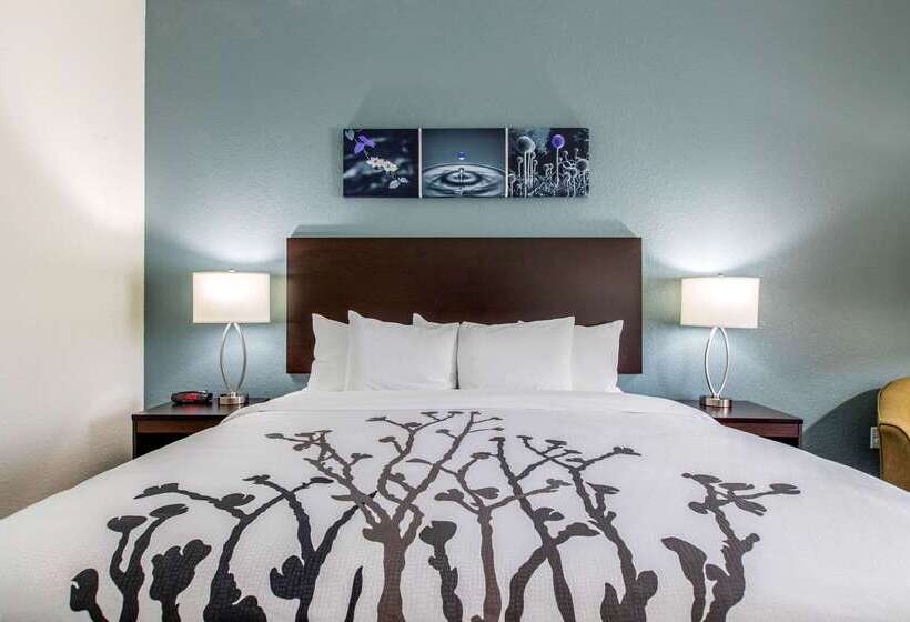 בית מלון כפרי Sleep Inn & Suites Ankeny  Des Moines