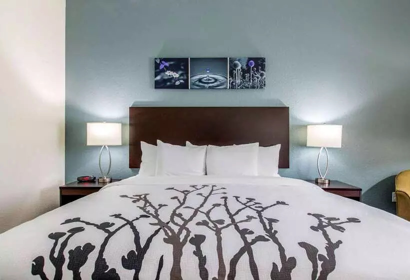 ホテル Sleep Inn & Suites Ankeny  Des Moines