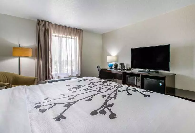 ホテル Sleep Inn & Suites Ankeny  Des Moines