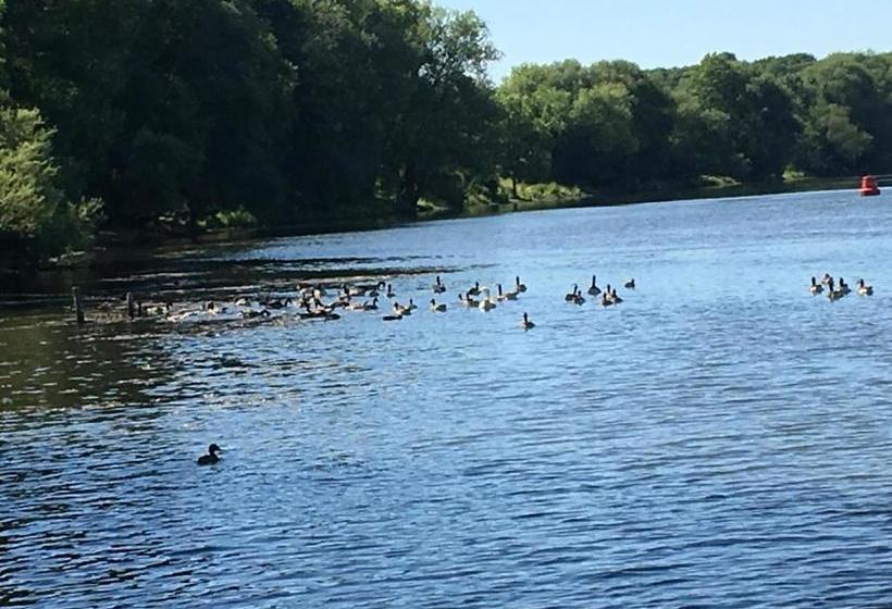 Apartment Lazoroski Arcen