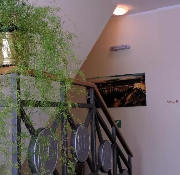 B&b Zmajevo Gnezdo 021