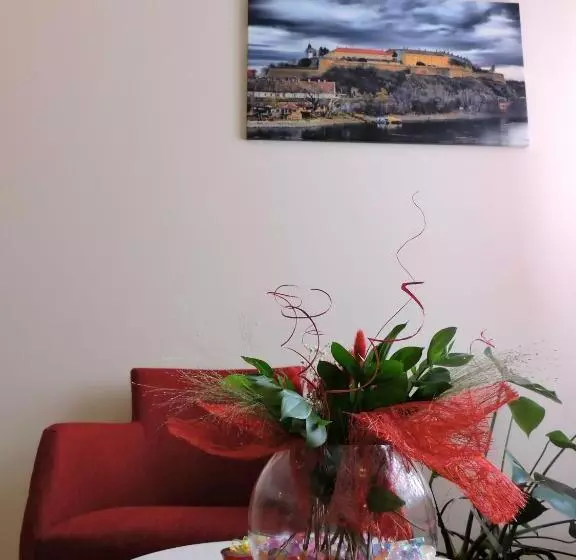 B&b Zmajevo Gnezdo 021