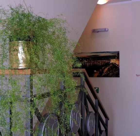 B&b Zmajevo Gnezdo 021
