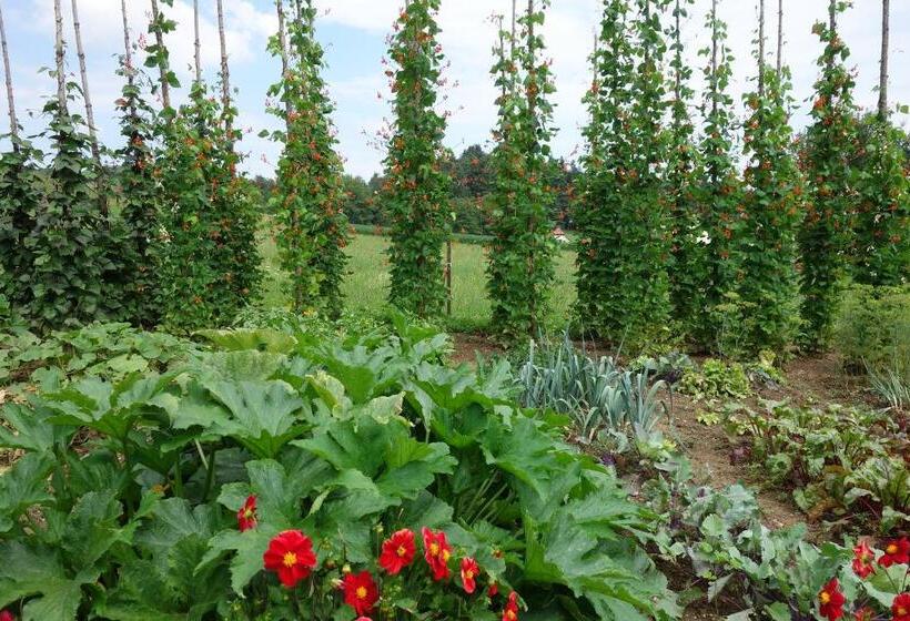 Bed and Breakfast Haus Steirer Am Kaiserwald