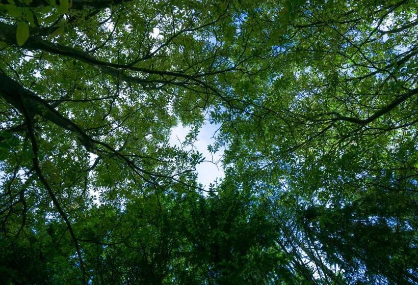 Bed and Breakfast Haus Steirer Am Kaiserwald