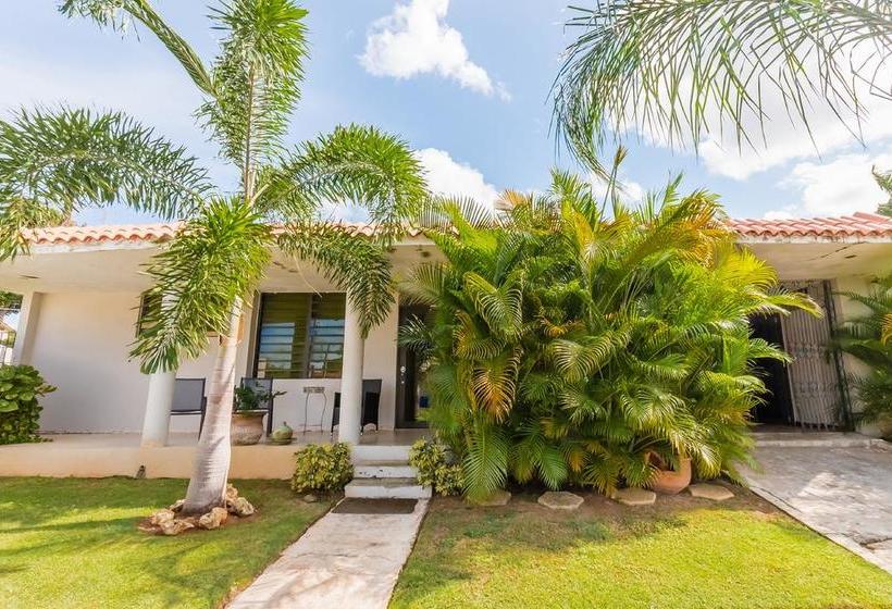 هتل Atenas City Inn