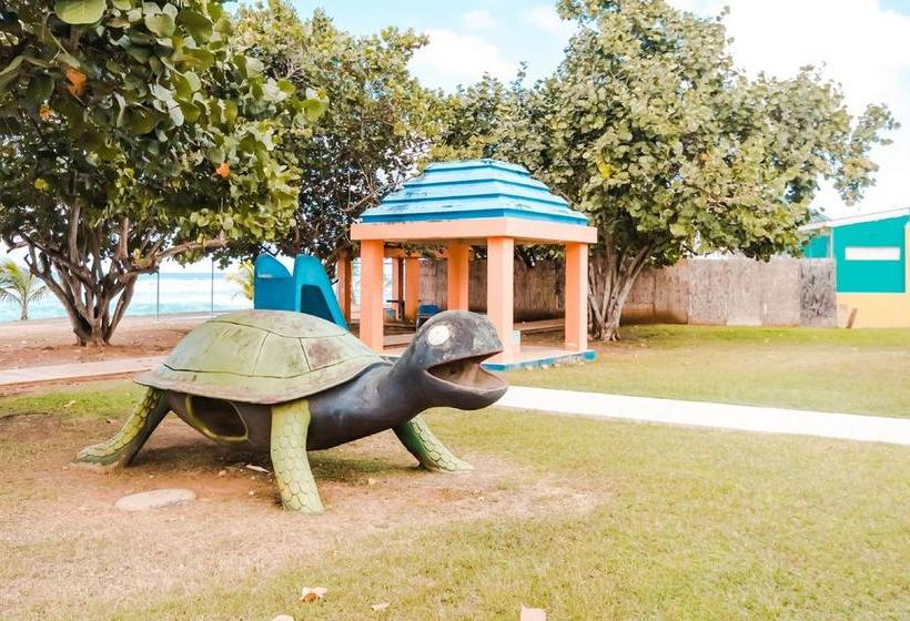 هتل Atenas City Inn