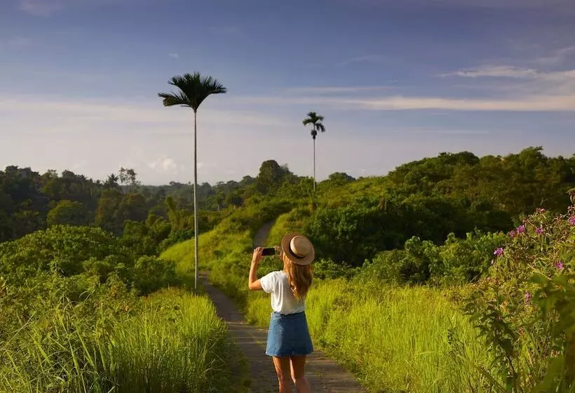 Hotelli Element Bali Ubud