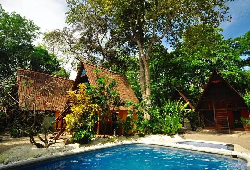 Hotelli Howler Monkey