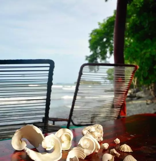 Hotelli Howler Monkey