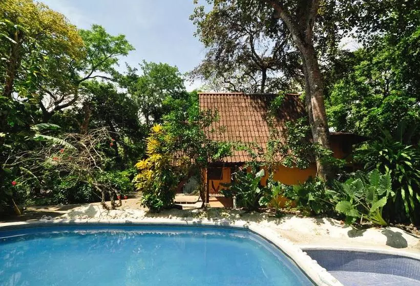 Hotelli Howler Monkey