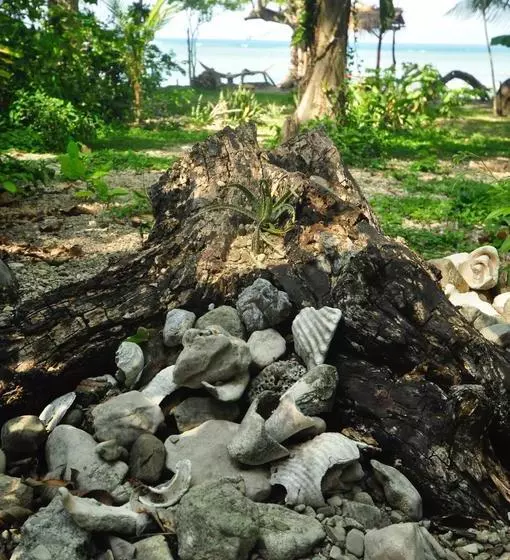 Hotelli Howler Monkey