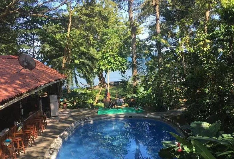 Hotelli Howler Monkey