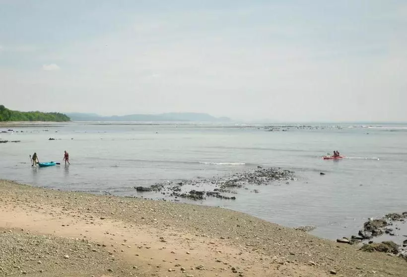 Hotelli Howler Monkey