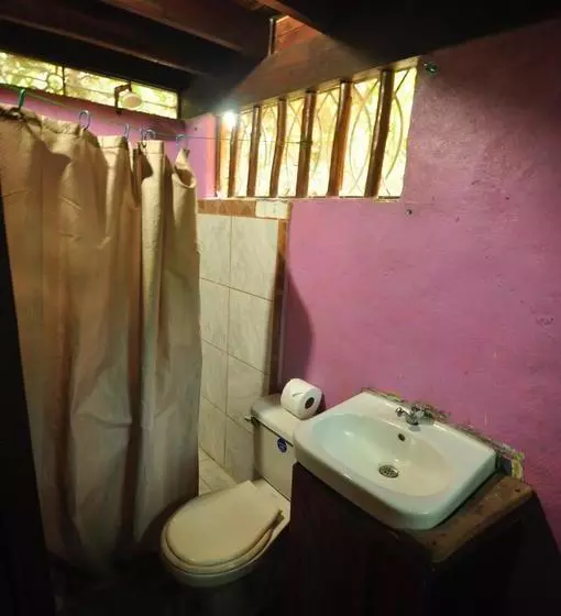 Hotelli Howler Monkey