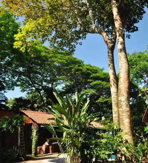 Hotelli Howler Monkey