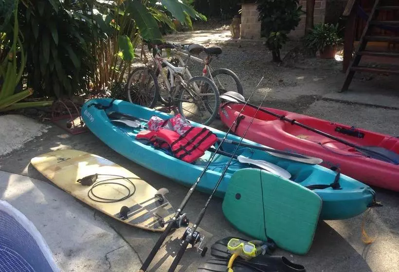 Hotelli Howler Monkey