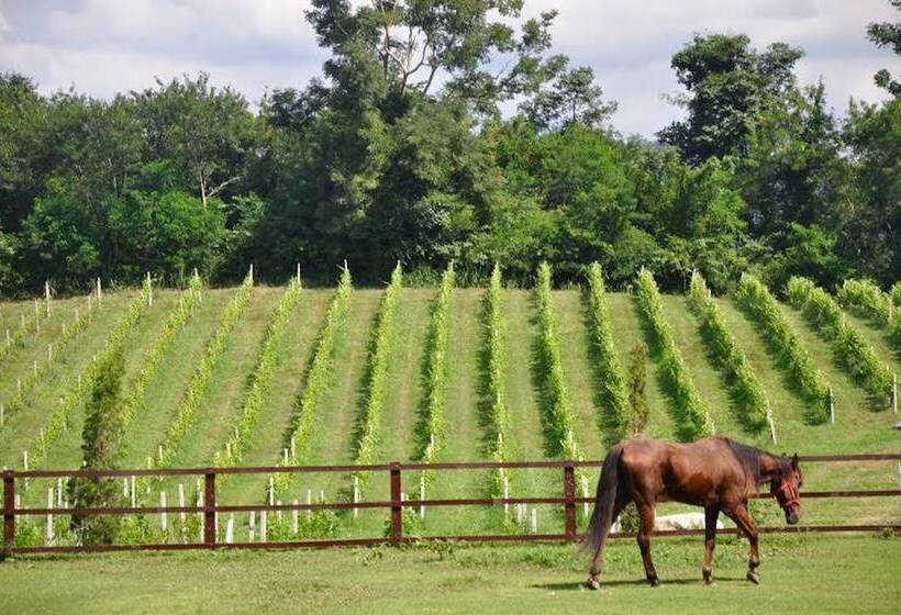 Отель Issara Boutique Winery