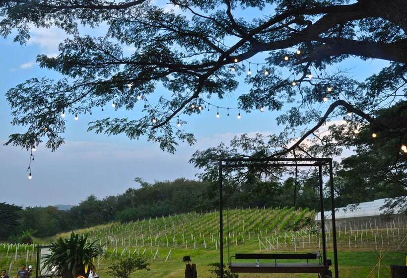 Отель Issara Boutique Winery