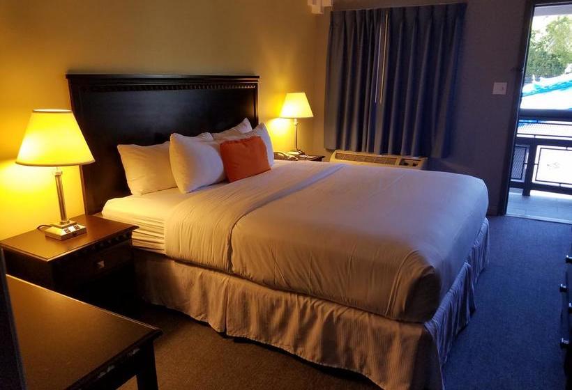 汽车旅馆  Rodeway Inn