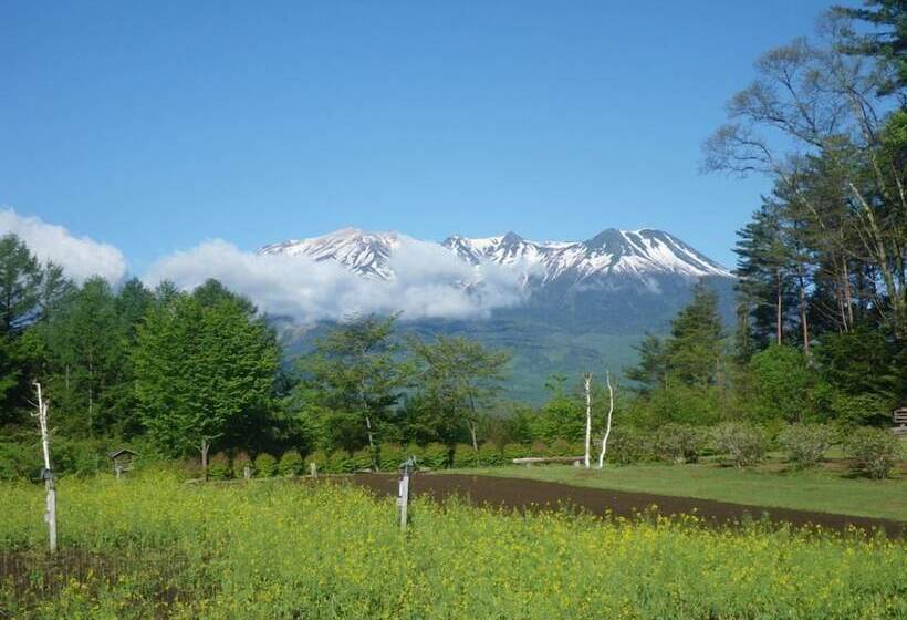 日式旅馆 Tsutaya Tokinoyado Kazari