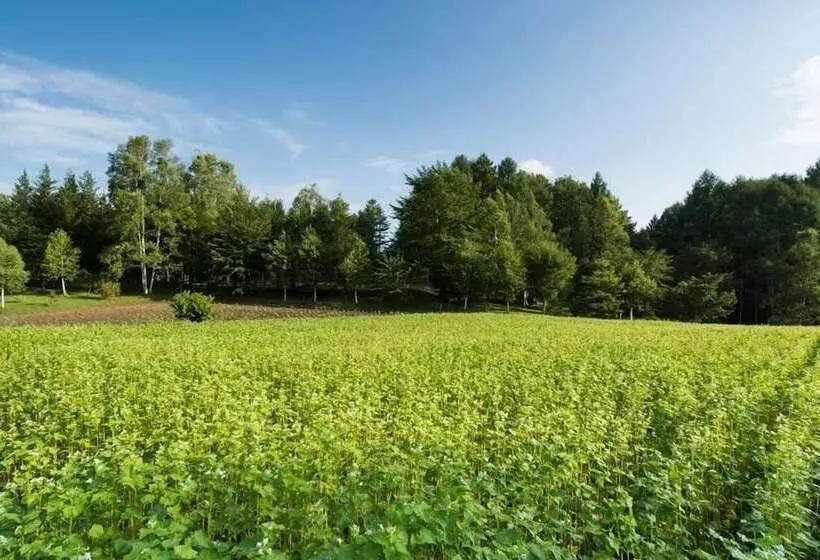 Ryokan Tsutaya Tokinoyado Kazari