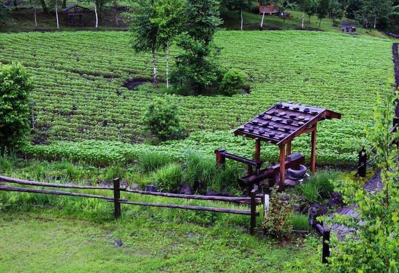 日式旅馆 Tsutaya Tokinoyado Kazari